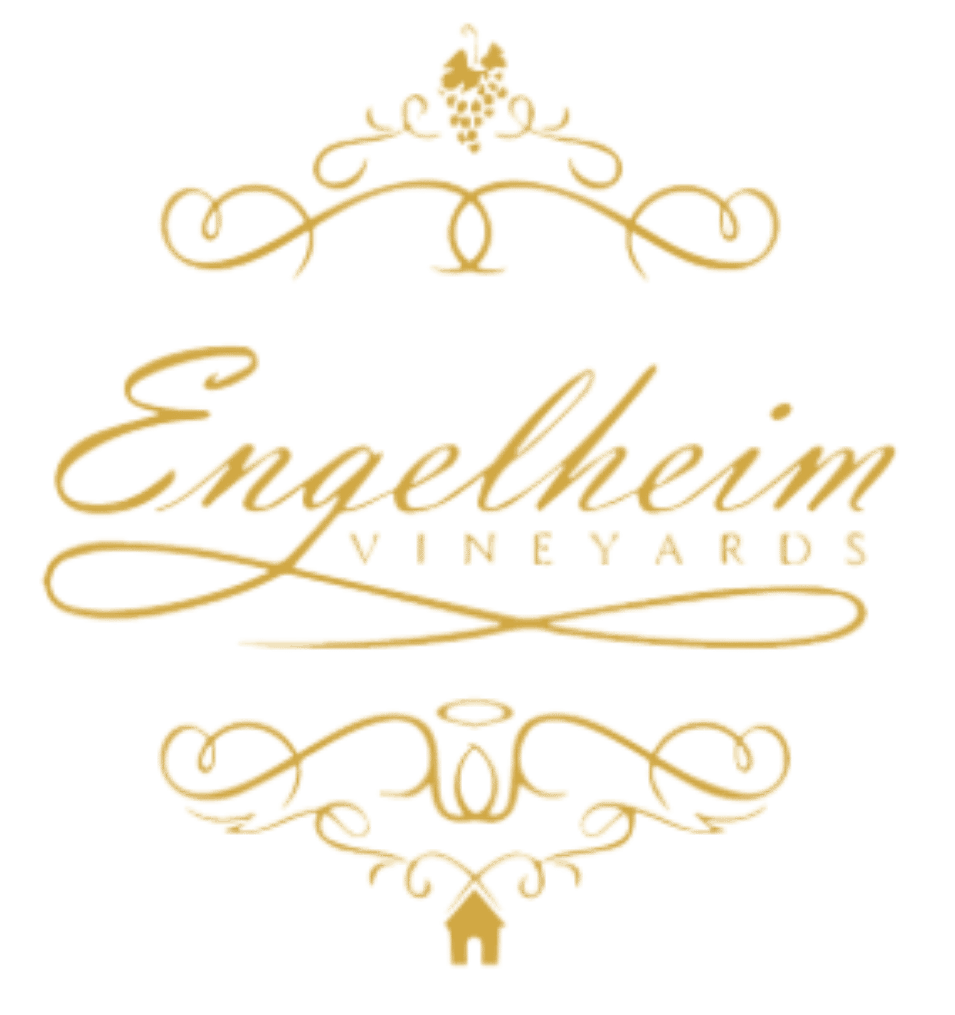 Engelheim Vineyards winery Ellijay Georgia family-friendly wine tasting near Blue Ridge Mountains cabin rental