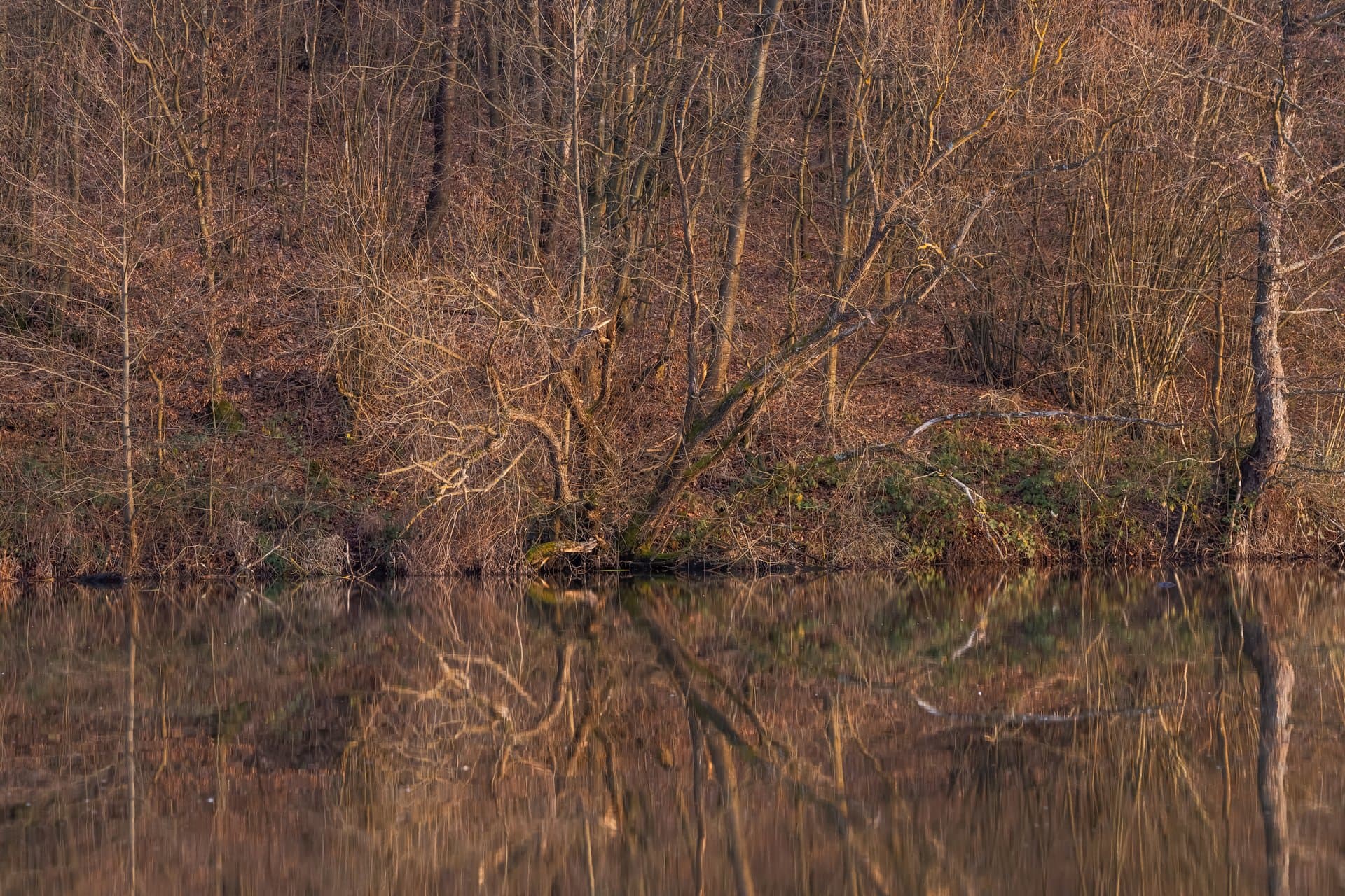 Tranquil mountain lake at Ellijay GA cabin rental peaceful fishing spot Blue Ridge Mountains