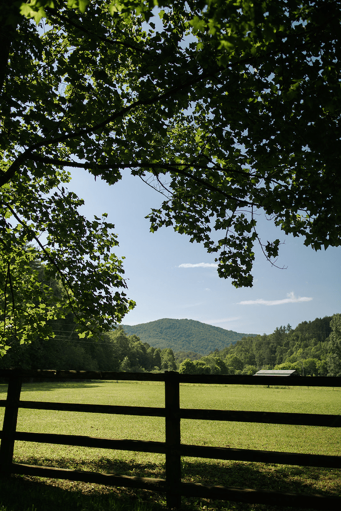 Open green pasture with the Blue Ridge mountains stacked on the horizon, framed by overhanging tree branches